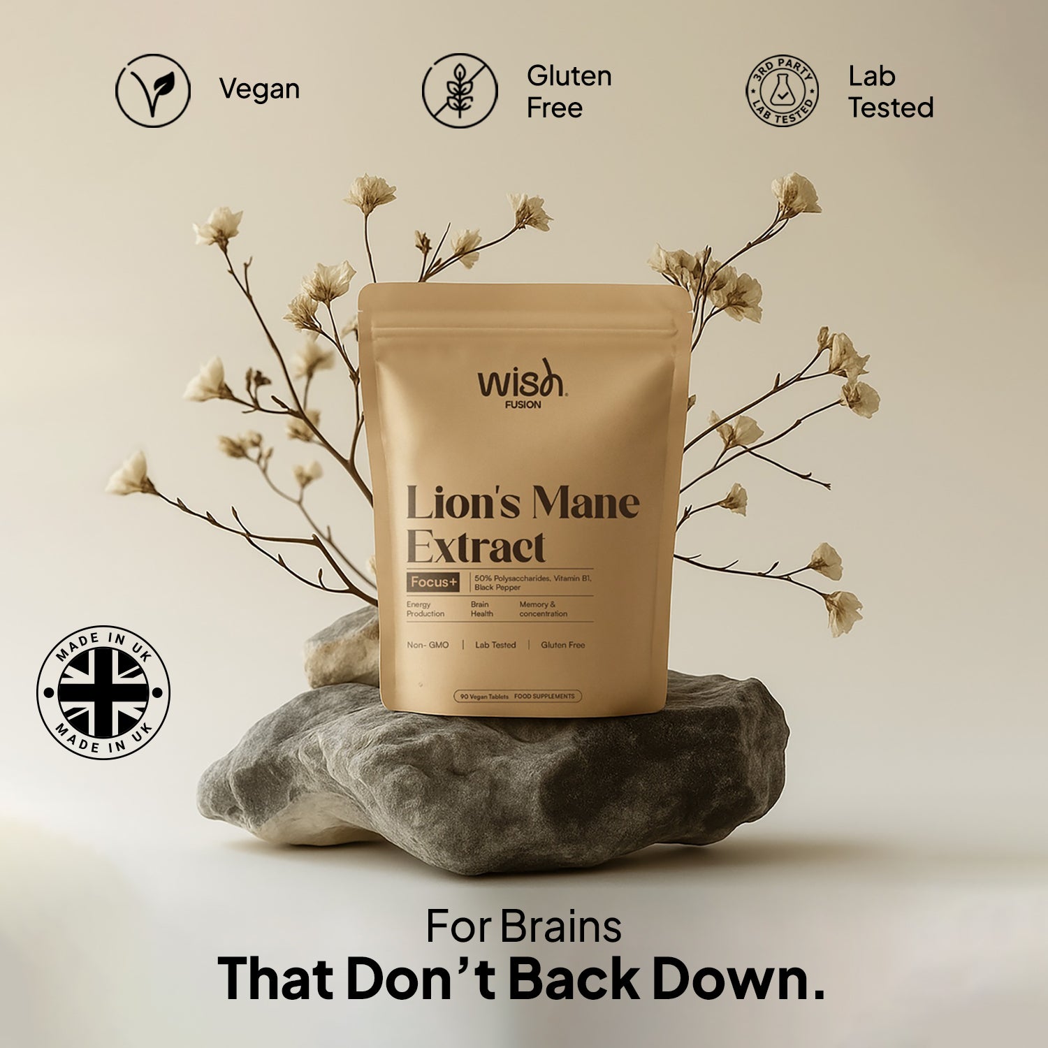 Lion's Mane Extract