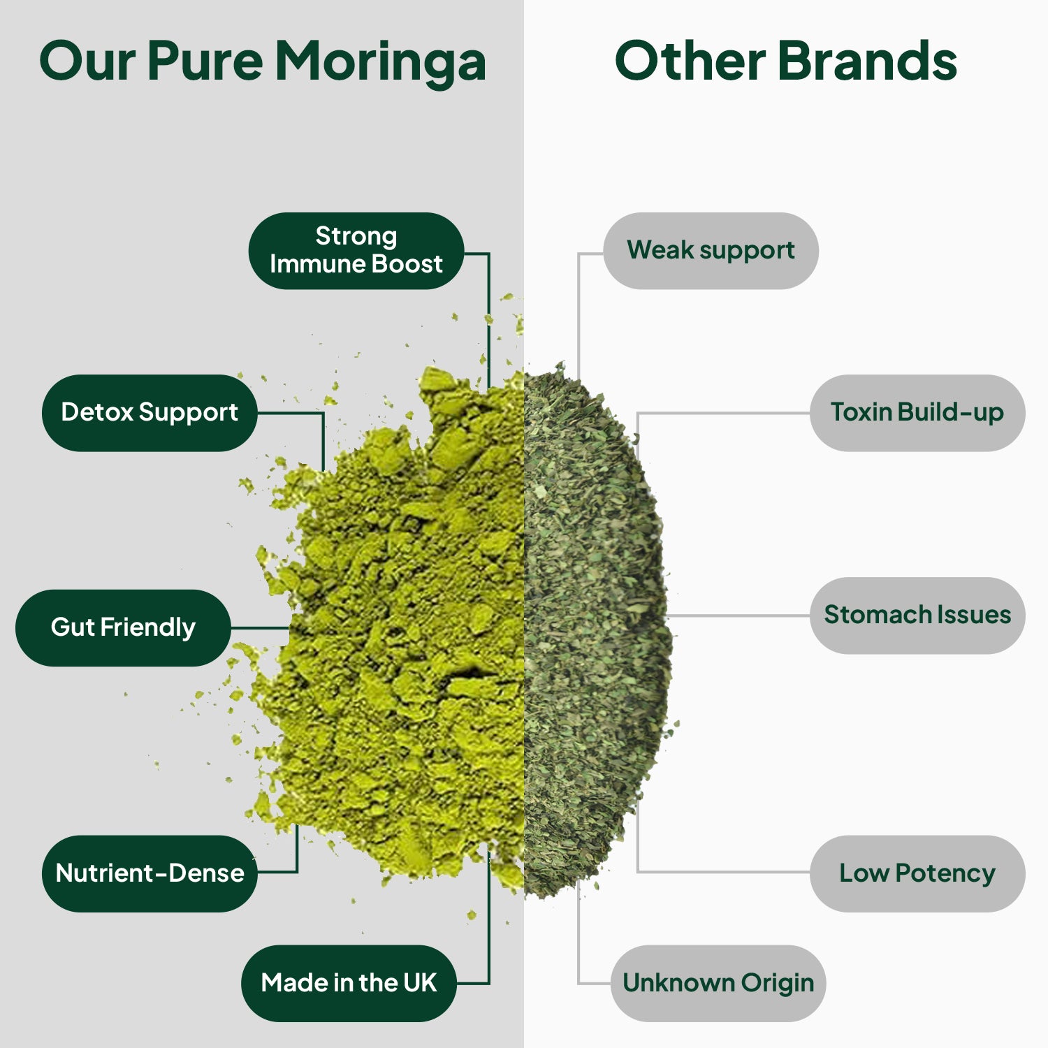 Pure Moringa