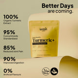turmeric+
