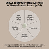 Lion's Mane Extract